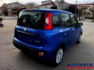 FIAT Pandina 1.0 FireFly 65 CV Hybrid Icon