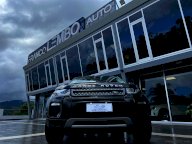 LAND ROVER RR Evoque 2.0 TD4 150 CV 5p. Bs Ed. SE