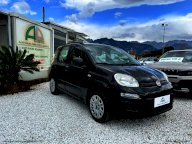FIAT Panda 1.3 MJT Pop