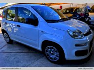FIAT Panda 1.3 MJT S&S Easy