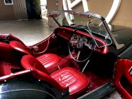 TRIUMPH TR2