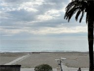 Vendita  Ceriale