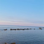 Vendita Bilocale Siracusa