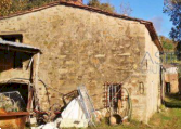 Vendita Appartamento Montale