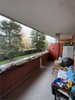 Vendita Appartamento Gorla Maggiore