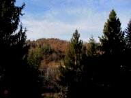V Appartamento Roccaforte Mondovì