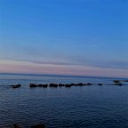 Vendita Bilocale Siracusa