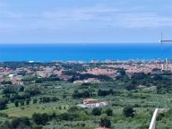 Vendita Appartamento Rosignano Marittimo