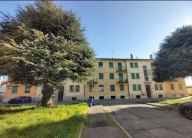 Vendita Appartamento Castelfranco Veneto