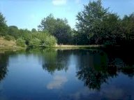 vendita appartamento Zeri