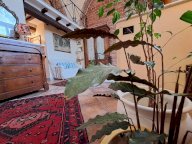 vendita appartamento Carrara