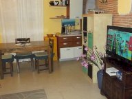 vendita appartamento Vicopisano