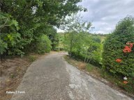 Vendita  Castelnuovo di Porto