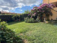 vendita appartamento Bibbona