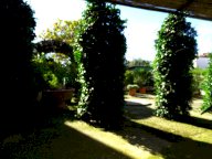 vendita appartamento Agliana