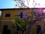 vendita appartamento Pietrasanta