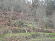 vendita appartamento La Spezia