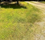 vendita appartamento Montelupo Fiorentino