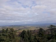 vendita appartamento Lajatico