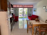 vendita appartamento Bibbona