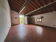 vendita appartamento Collesalvetti