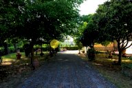 vendita appartamento Reggello