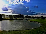 vendita appartamento Martellago