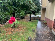 vendita appartamento Vinci