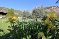 vendita appartamento San Giuliano Terme