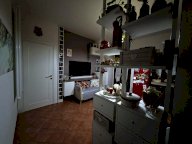 vendita appartamento Collesalvetti