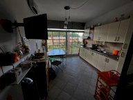 vendita appartamento Bibbona