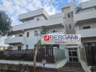 Vendita Appartamento Nettuno