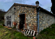 Vendita Appartamento Castell'Azzara