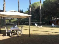 vendita appartamento Rosignano Marittimo