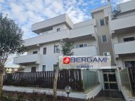 Vendita Appartamento Nettuno