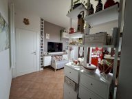 vendita appartamento Collesalvetti