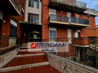 Vendita Appartamento Nettuno