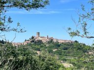 vendita appartamento Montecatini Val di Cecina