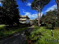 vendita appartamento Massa