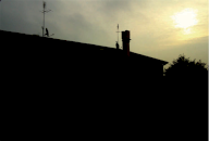 Vendita Appartamento Roncade