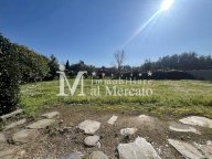 vendita appartamento Massarosa