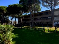 vendita appartamento Bibbona