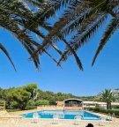 Vendita Appartamento Rosignano Marittimo