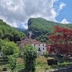 vendita appartamento Fivizzano