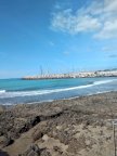 vendita appartamento Rosignano Marittimo