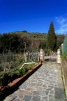 vendita appartamento Santa Luce
