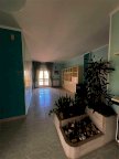 Vendita Appartamento Canosa di Puglia