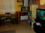 vendita appartamento Vicopisano