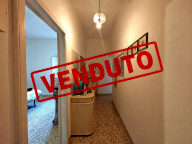 vendita appartamento Ponsacco