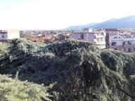 vendita appartamento Sarzana